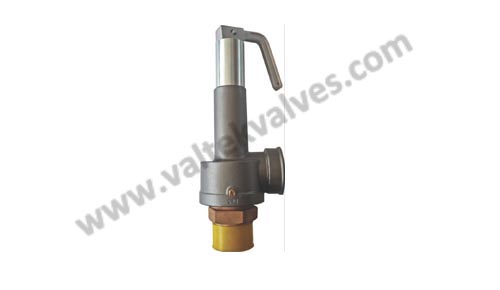 FMSRV (DN 15) Forbes Marshall Safety Relief Valve